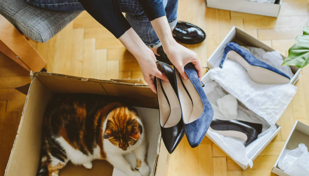 eCommerce HK: The Top 5 eCommerce Platforms in Hong Kong